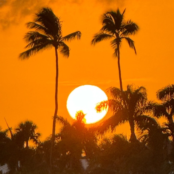 arlenemord